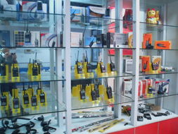 寧波河盛通電子在商品批發(fā)貿(mào)易中的優(yōu)勢(shì)與前景